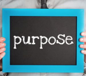 Top 11 UX design principles: #2 make the purpose and actions obvious